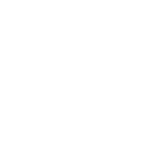 Discover vegan Delights